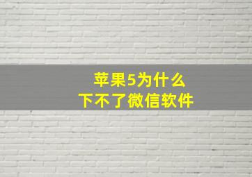 苹果5为什么下不了微信软件