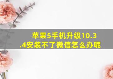 苹果5手机升级10.3.4安装不了微信怎么办呢