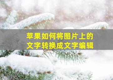 苹果如何将图片上的文字转换成文字编辑