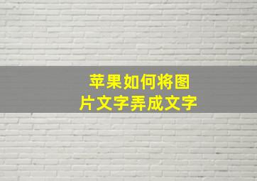 苹果如何将图片文字弄成文字