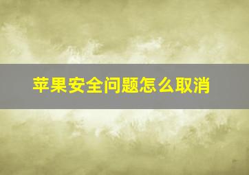 苹果安全问题怎么取消