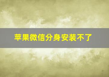 苹果微信分身安装不了