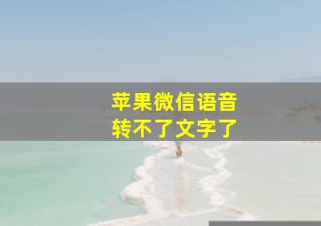 苹果微信语音转不了文字了