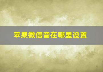 苹果微信音在哪里设置