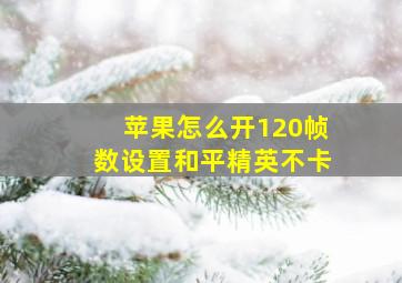 苹果怎么开120帧数设置和平精英不卡