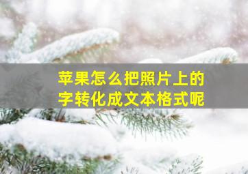 苹果怎么把照片上的字转化成文本格式呢