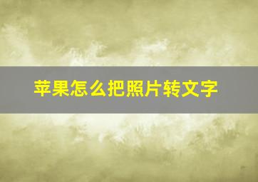 苹果怎么把照片转文字