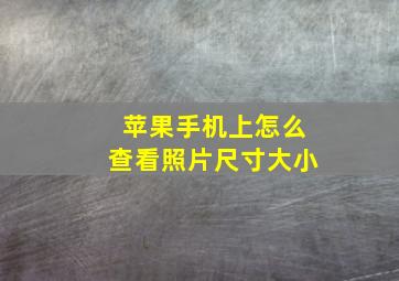 苹果手机上怎么查看照片尺寸大小