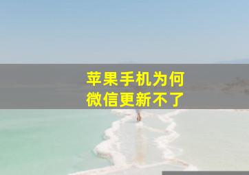 苹果手机为何微信更新不了