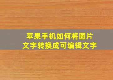 苹果手机如何将图片文字转换成可编辑文字