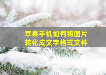 苹果手机如何将图片转化成文字格式文件