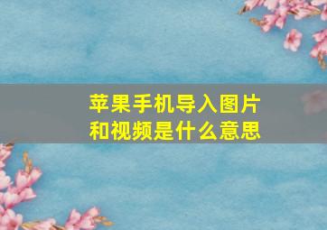 苹果手机导入图片和视频是什么意思