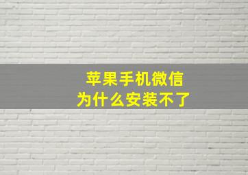 苹果手机微信为什么安装不了