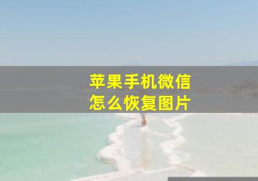 苹果手机微信怎么恢复图片