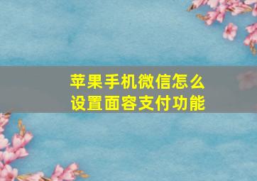 苹果手机微信怎么设置面容支付功能