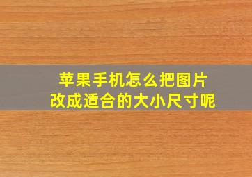 苹果手机怎么把图片改成适合的大小尺寸呢