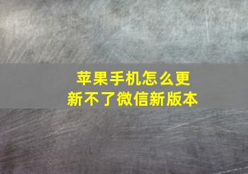 苹果手机怎么更新不了微信新版本