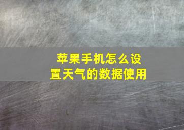 苹果手机怎么设置天气的数据使用