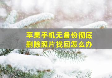 苹果手机无备份彻底删除照片找回怎么办