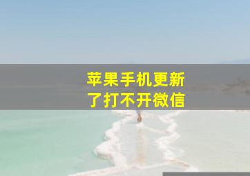 苹果手机更新了打不开微信