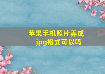 苹果手机照片弄成jpg格式可以吗