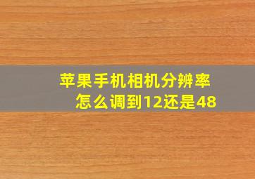 苹果手机相机分辨率怎么调到12还是48