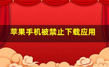 苹果手机被禁止下载应用