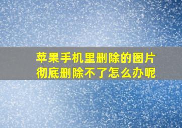 苹果手机里删除的图片彻底删除不了怎么办呢