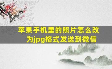 苹果手机里的照片怎么改为jpg格式发送到微信