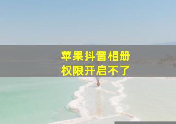 苹果抖音相册权限开启不了