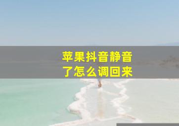 苹果抖音静音了怎么调回来