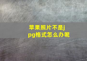 苹果照片不是jpg格式怎么办呢