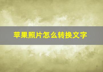 苹果照片怎么转换文字