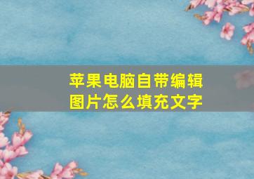 苹果电脑自带编辑图片怎么填充文字