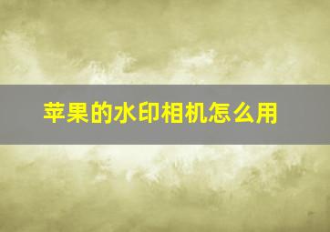 苹果的水印相机怎么用