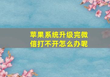 苹果系统升级完微信打不开怎么办呢