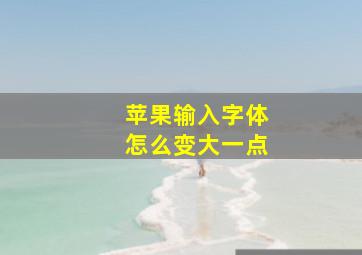 苹果输入字体怎么变大一点