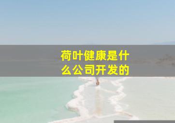 荷叶健康是什么公司开发的