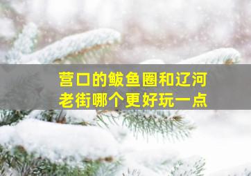 营口的鲅鱼圈和辽河老街哪个更好玩一点