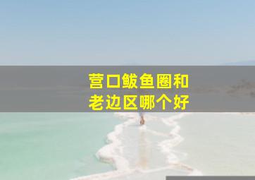 营口鲅鱼圈和老边区哪个好