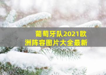 葡萄牙队2021欧洲阵容图片大全最新