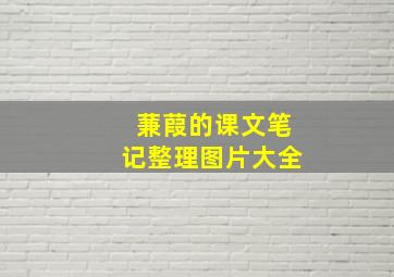 蒹葭的课文笔记整理图片大全