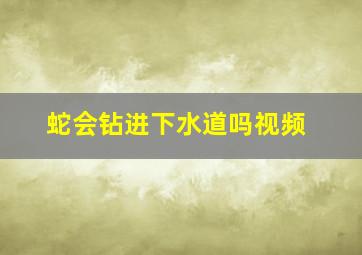 蛇会钻进下水道吗视频