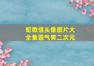 蛇微信头像图片大全集霸气男二次元