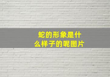 蛇的形象是什么样子的呢图片