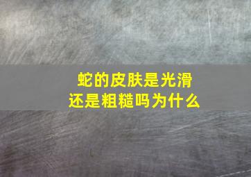 蛇的皮肤是光滑还是粗糙吗为什么