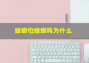 蟑螂怕蟑螂吗为什么