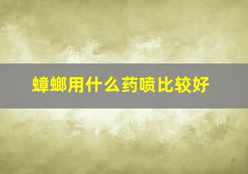 蟑螂用什么药喷比较好