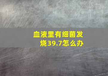 血液里有细菌发烧39.7怎么办