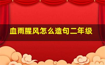 血雨腥风怎么造句二年级